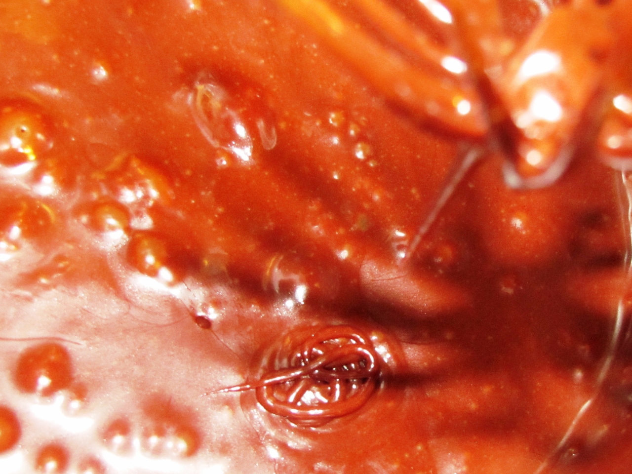 ???????????????????????????????