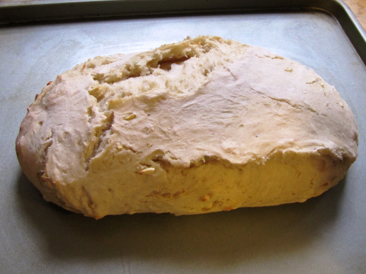 IMG_2558S (1280x960)