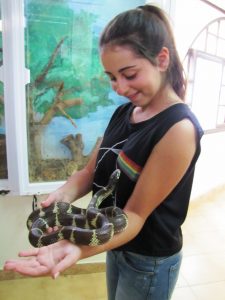 IMG_2589S (960x1280)