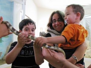 IMG_2599S (1280x960)