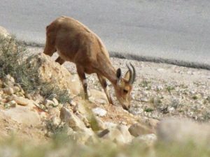 IMG_2613A (1280x960)