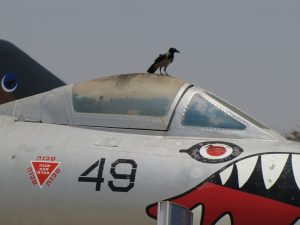 IMG_2637S (1280x960)