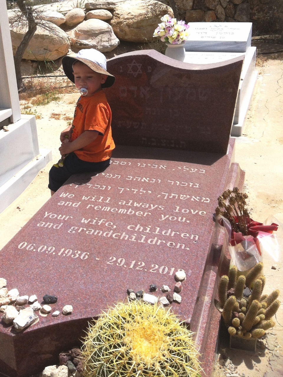 photo (1)S (960x1280)