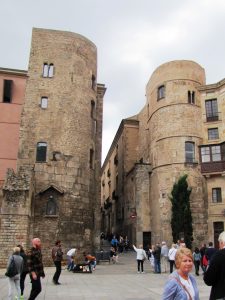 img_6289s