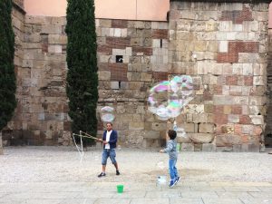 img_8691s